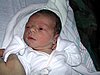 andrei1